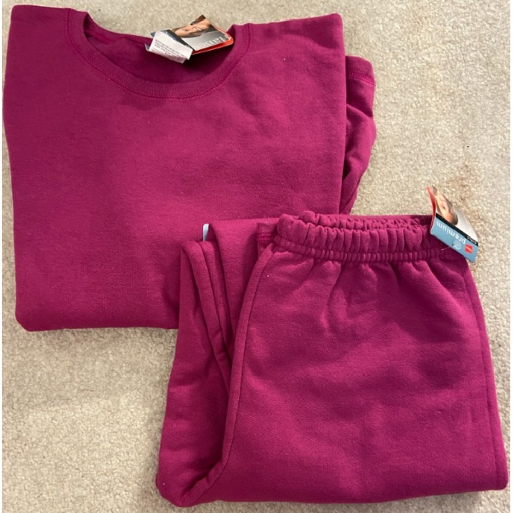 New (with tags) Hanes Girls Size L Sweat Set